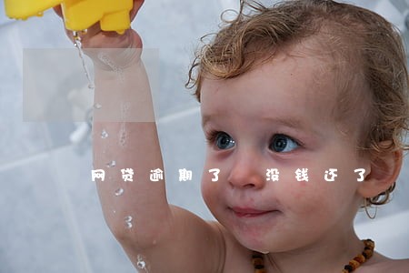 网贷逾期了 没钱还了